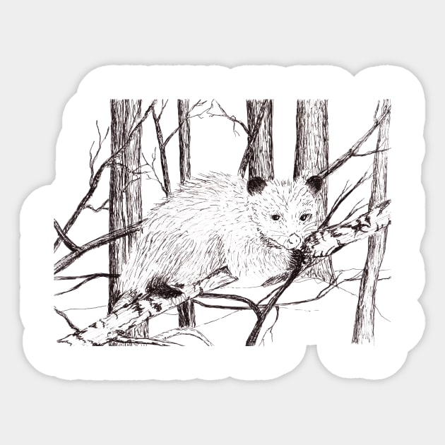 Possum Sticker by lindaursin